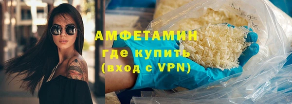 молекула духа Арсеньев