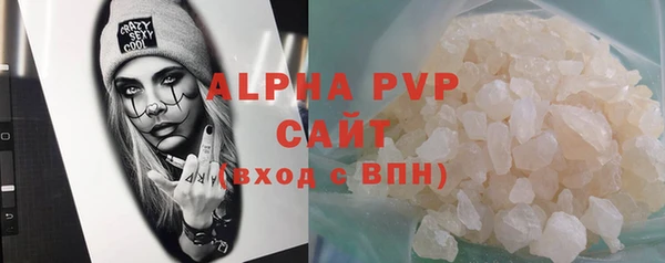 молекула духа Арсеньев