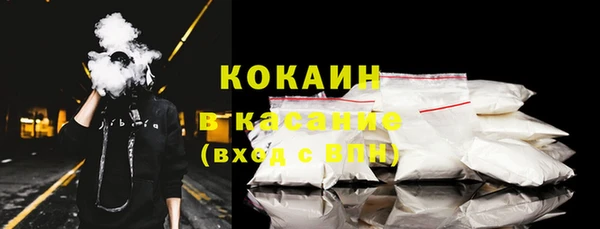 молекула духа Арсеньев