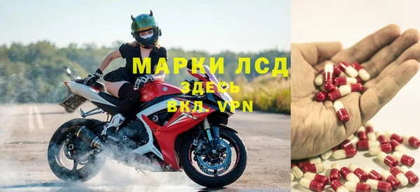 молекула духа Арсеньев