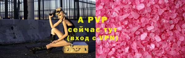 молекула духа Арсеньев