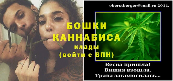молекула духа Арсеньев
